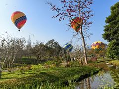 -中国科学院西双版纳热带植物园