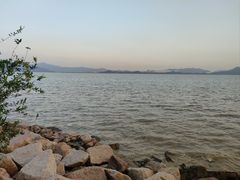 -深圳湾公园(南山区)