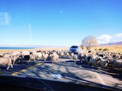 -青海湖国家重点风景名胜区