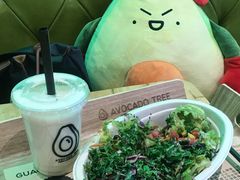 -油梨树AVOCADO TREE(望京店)