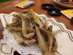 黄花鱼-喜碧海鲜·二十年本土海鲜老字号(上排店)