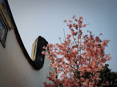 -乌山风景区