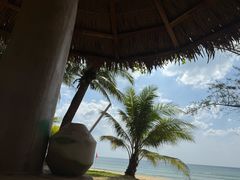 -三亚海棠湾万丽度假酒店