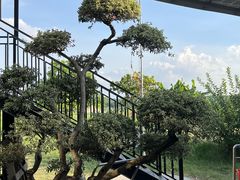 -水上人家河鲜