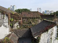 -常州古运河南大街文化旅游区-人民公园