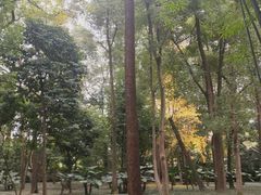 -成都杜甫草堂博物馆