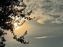 -天鹅湖体育公园