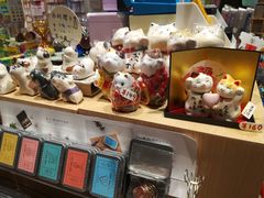 -猫的天空之城概念书店(杭州南宋御街店)