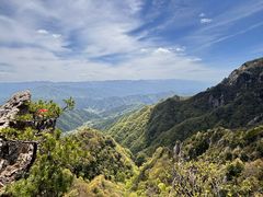 -王顺山国家森林公园