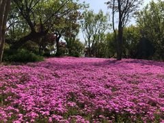 -南通洲际绿博园