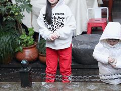 -野蔓果·山野菜(西湖景区·龙井茶田店)