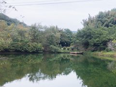 -广州市帽峰山景区