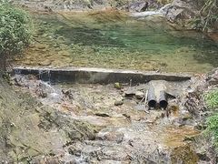 -南海湾森林生态园