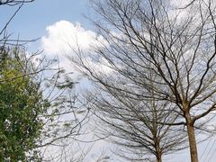 -凤岗南门山森林公园