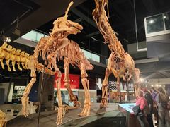 -墨尔本博物馆(Melbourne Museum)