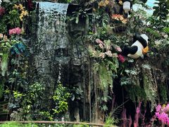 -正佳雨林生态植物园