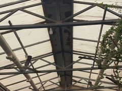 -大兴街扣碗包子馆