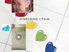 -宠物之家Pets Home 宠物寄养酒店