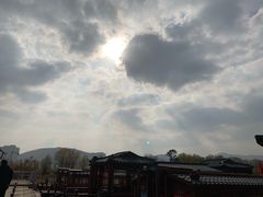-长兴太湖图影湿地文化园