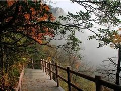 -牛背梁国家森林公园