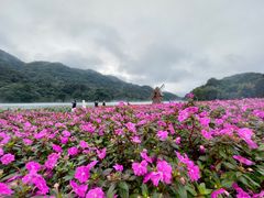 -广州市石门国家森林公园