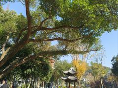 -墨池公园