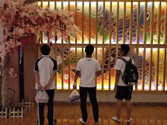 -重庆海昌加勒比海水世界