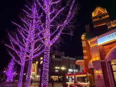 -廊坊固安福朋喜来登酒店