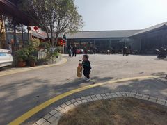 -满天星花园