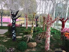 iphone_upload_pic-上海鲜花港
