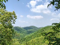 -桃花岭景区