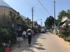 -金陵花卉交易市场