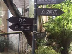 -清源山风景区