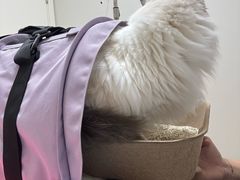 -达爱动物医院·犬猫分区·CT·复杂眼科(远洋山水分院)