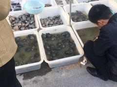 -华声天桥民俗文化园