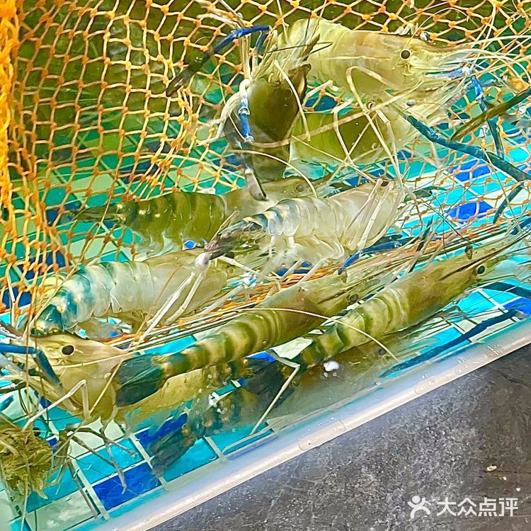 顺德胃！川菜魂！一次满足的宝藏农庄🍃