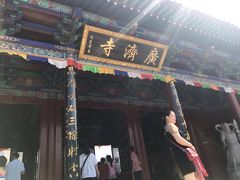-大槐树寻根祭祖园