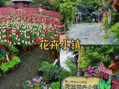 -深圳湾公园(南山区)