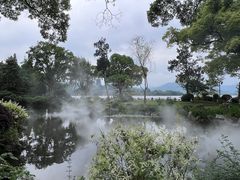 -杭州西湖柳莺里酒店·闻莺厅