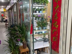 -曲阳花鸟市场(曲阳路店)