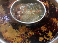 -金鼎雪山牦牛杂火锅(理县总店)