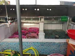 -鸿港海鲜批发市场