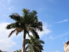 -西涌国际滨海旅游区