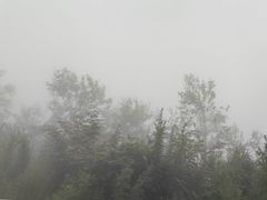-武陵山森林公园