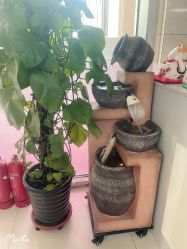 -E.beauty驻颜·痘敏肌调理中心