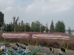 -南湖湿地公园