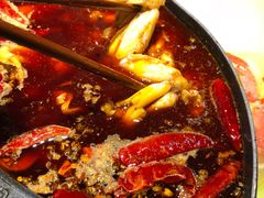 -销魂美蛙鱼头火锅(上海首店)