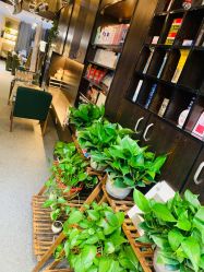 -美奈サロン美甲美睫皮肤管理