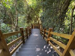 -海南霸王岭国家森林公园