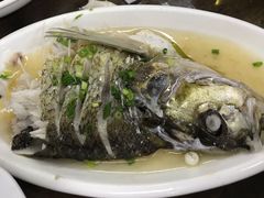 清蒸白鱼-协和菜馆(凤凰街店)